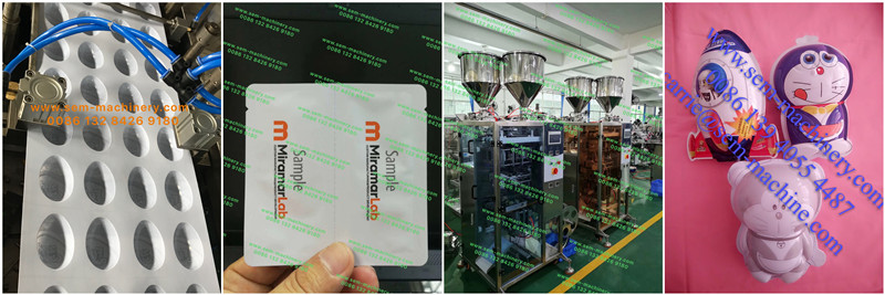 Automatic Egg Packaging Machine