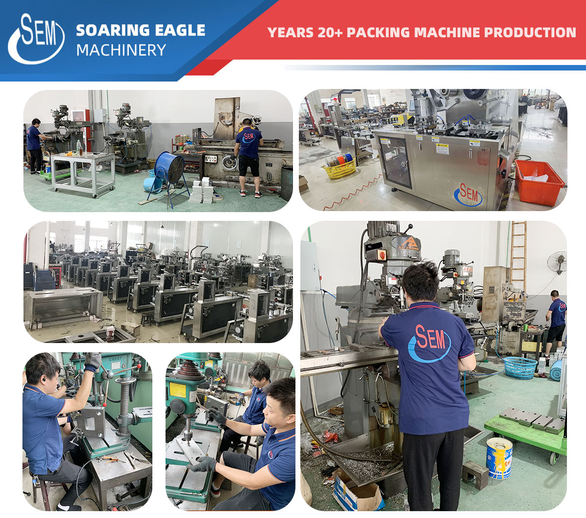 DPP250 Automatic alu-plastic mini pharmacy blister packing machine tablet
